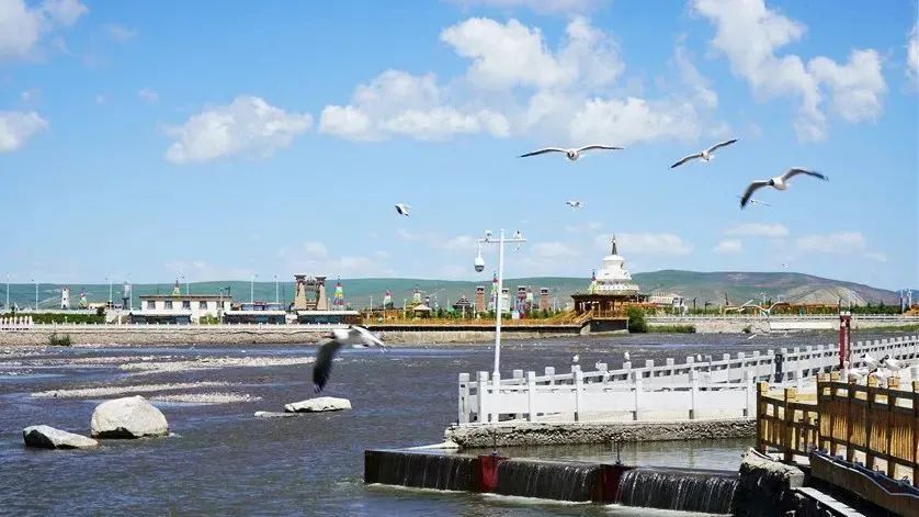 璁插ソ娴峰寳鏁呬簨浼犳挱娴峰寳澹伴煶,娴峰寳鐨勬柊鍙樺寲