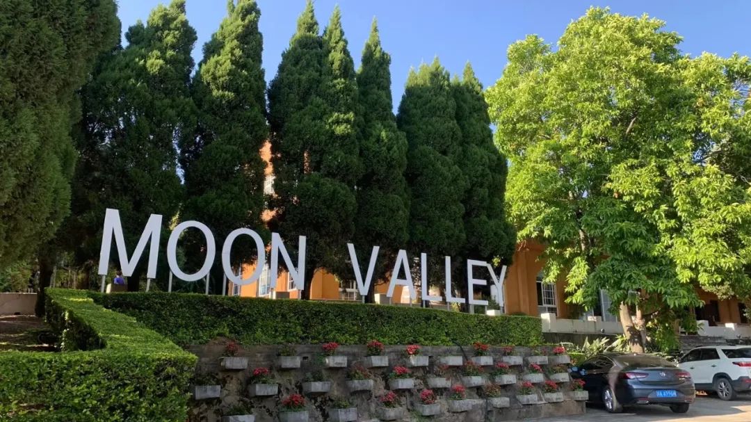 外地朋友来四川吃美食,外地朋友来四川吃苍蝇馆子