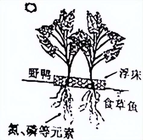 生物测试准确率,生物模拟试卷2