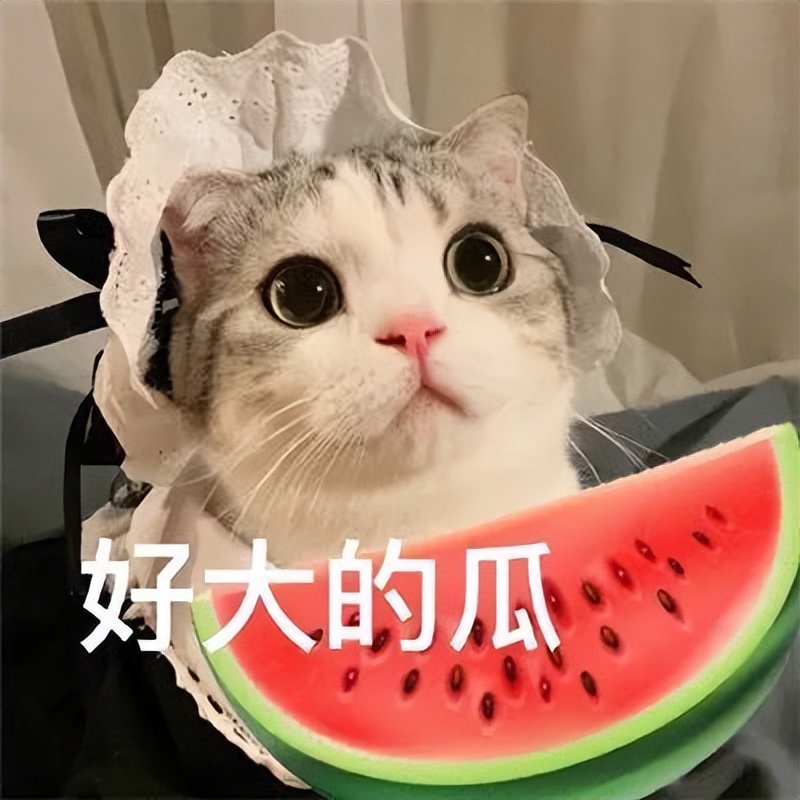 日本女神出轨被抓包，除了找“牛郎”，竟然还用APP记录*爱性**日期