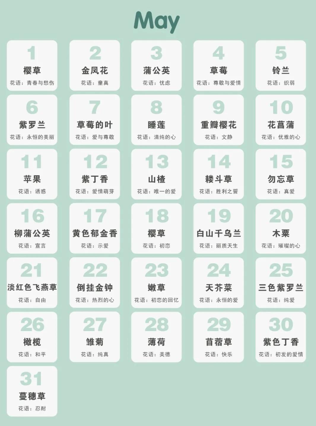 365生日花语大全,关于生日的花的花语