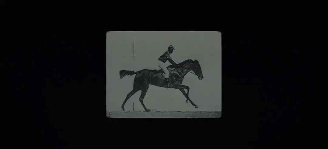 不要抬头看月亮全文,不要抬头看月亮