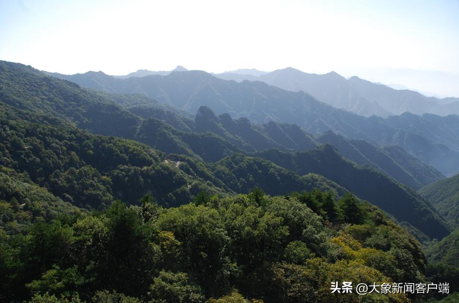 辟谣转阴15天后产生抗体,转阴15天才有抗体是谣言吗