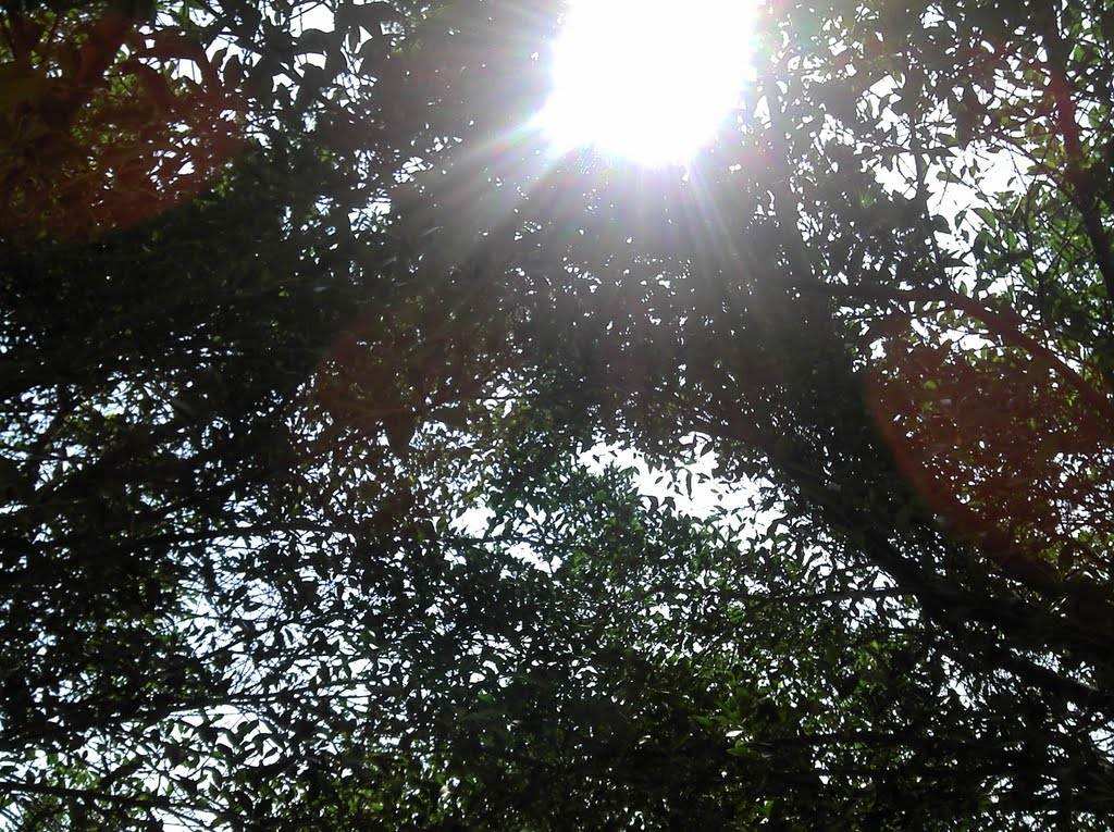 二年级在野外迷路了怎么辨别方向,如果在野外迷路了怎么辨别方向