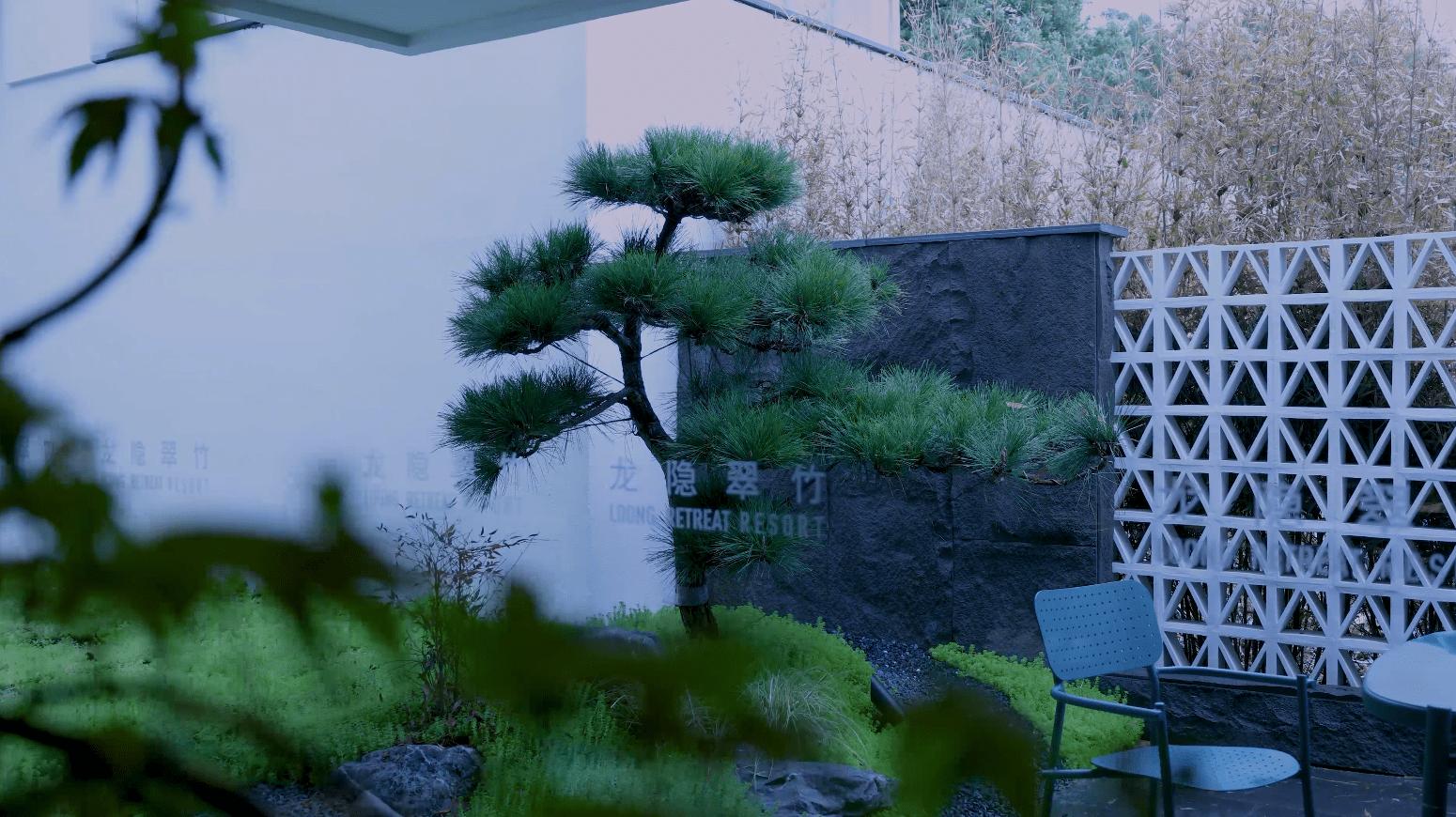 邂逅无锡,无锡惠山区龙隐翠竹酒店在哪里