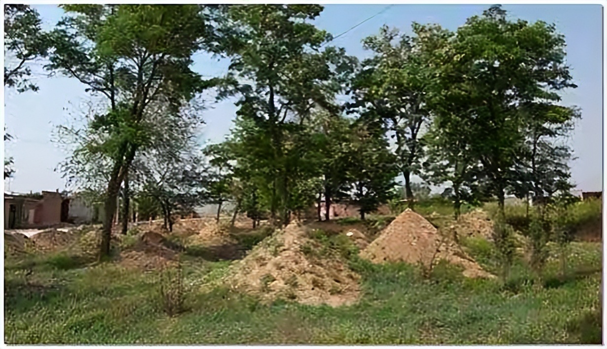 坟旁生三树子孙后代富是啥意思,农村俗语坟前生洞子孙穷