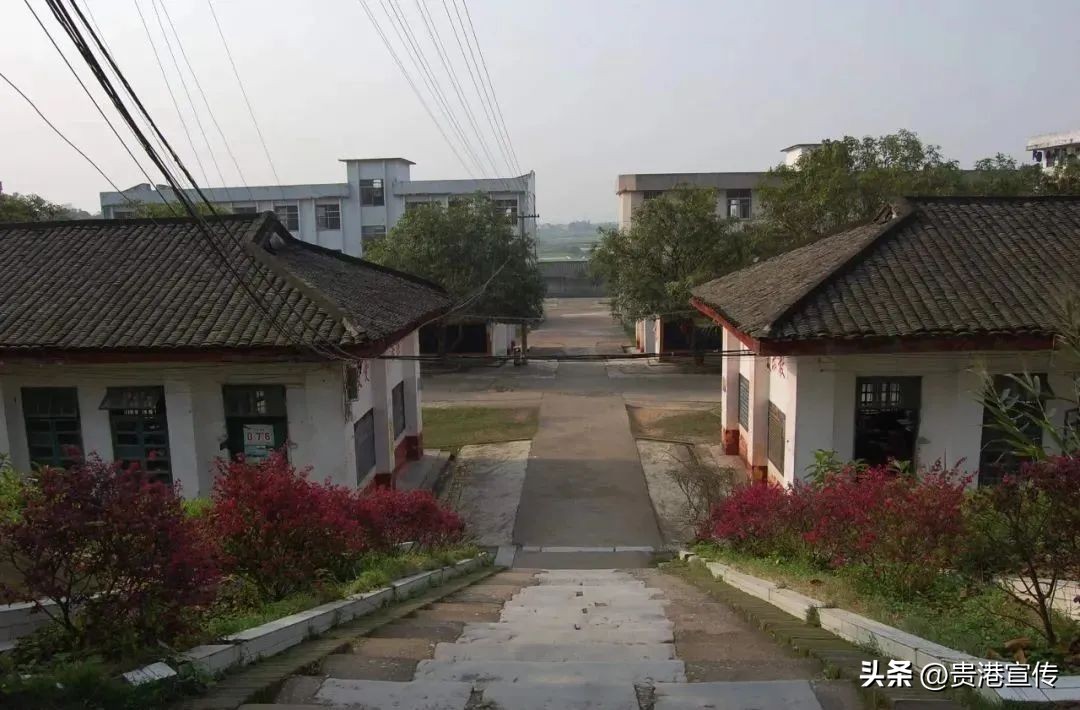 思旺高中好吗,思旺高中最新视频