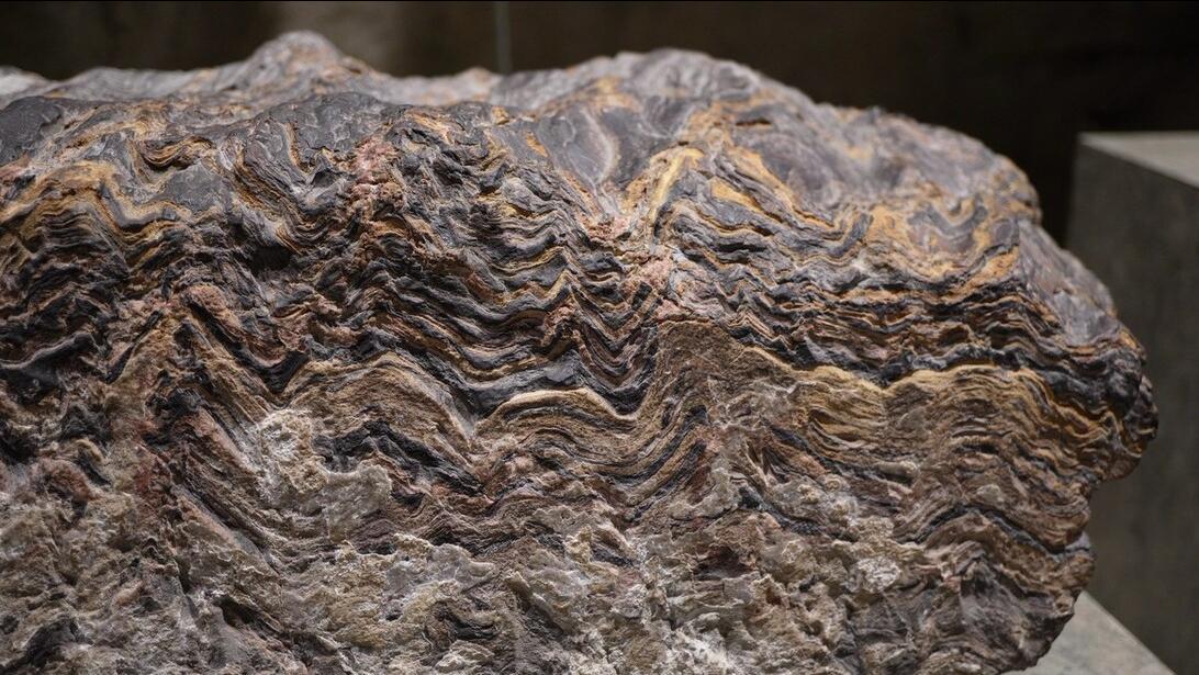 为什么不进口俄罗斯的铁矿石 (中国为什么不进口俄罗斯的铁矿石)