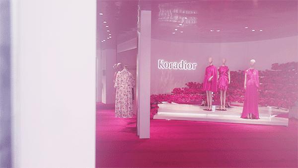 带你去看玫瑰花海,带你看玫瑰花海