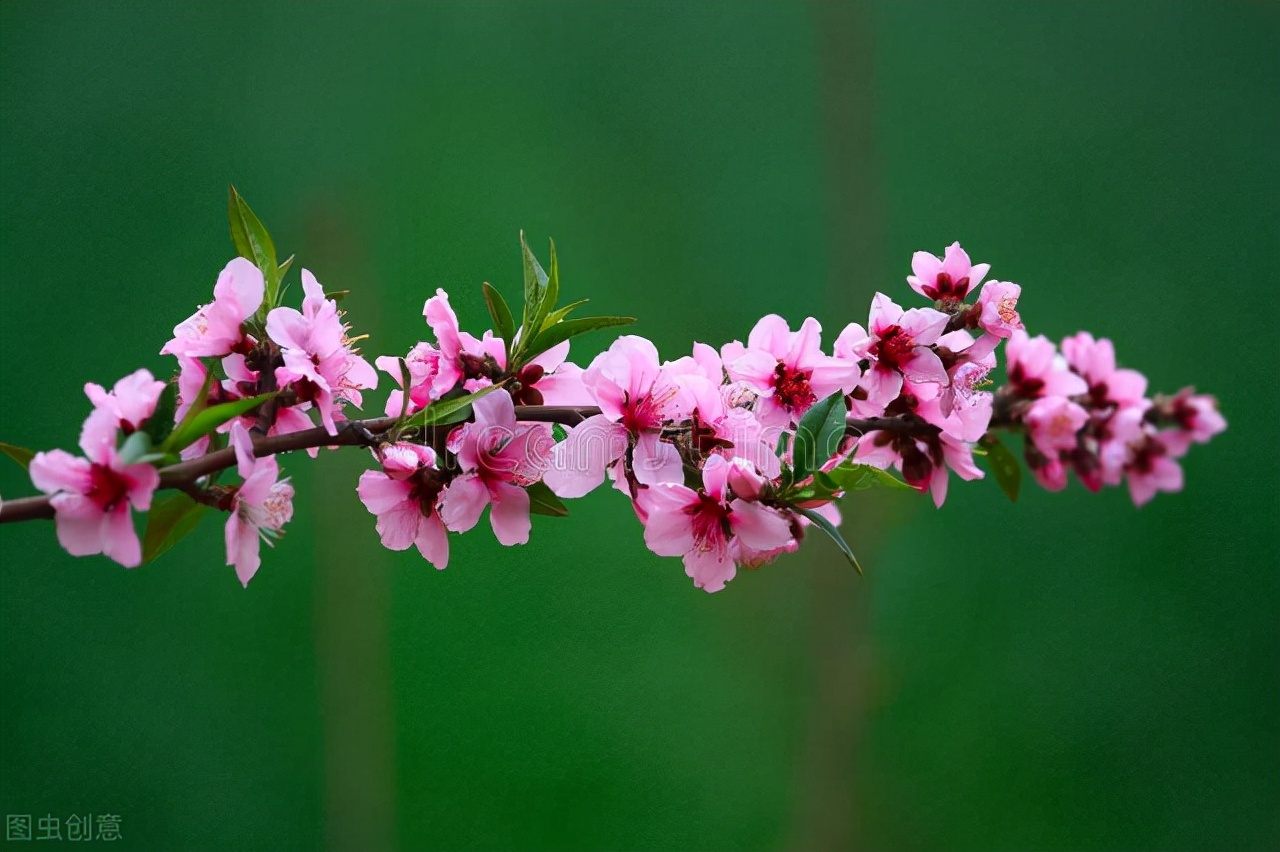 学生常写错别字老师应该怎么鼓励,如何解决学生写错别字