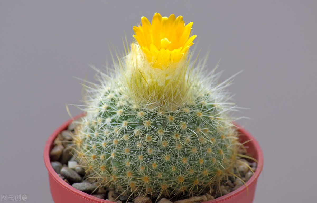 早安问候暖心治愈语录