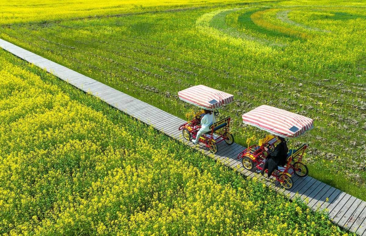 宁波九龙湖景观,宁波九龙湖湖畔