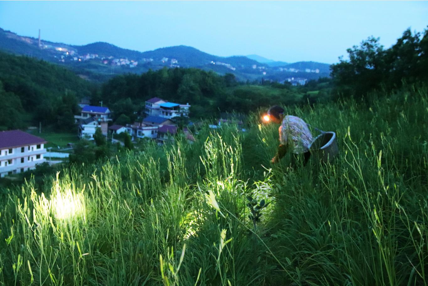 湖南省邵阳市邵东县黄金村,永华村风光