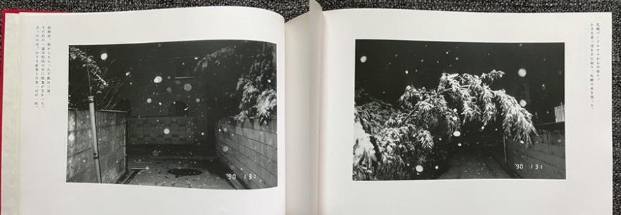 舒伯特冬之旅纯音乐,舒伯特冬之旅是艺术歌曲还是歌剧