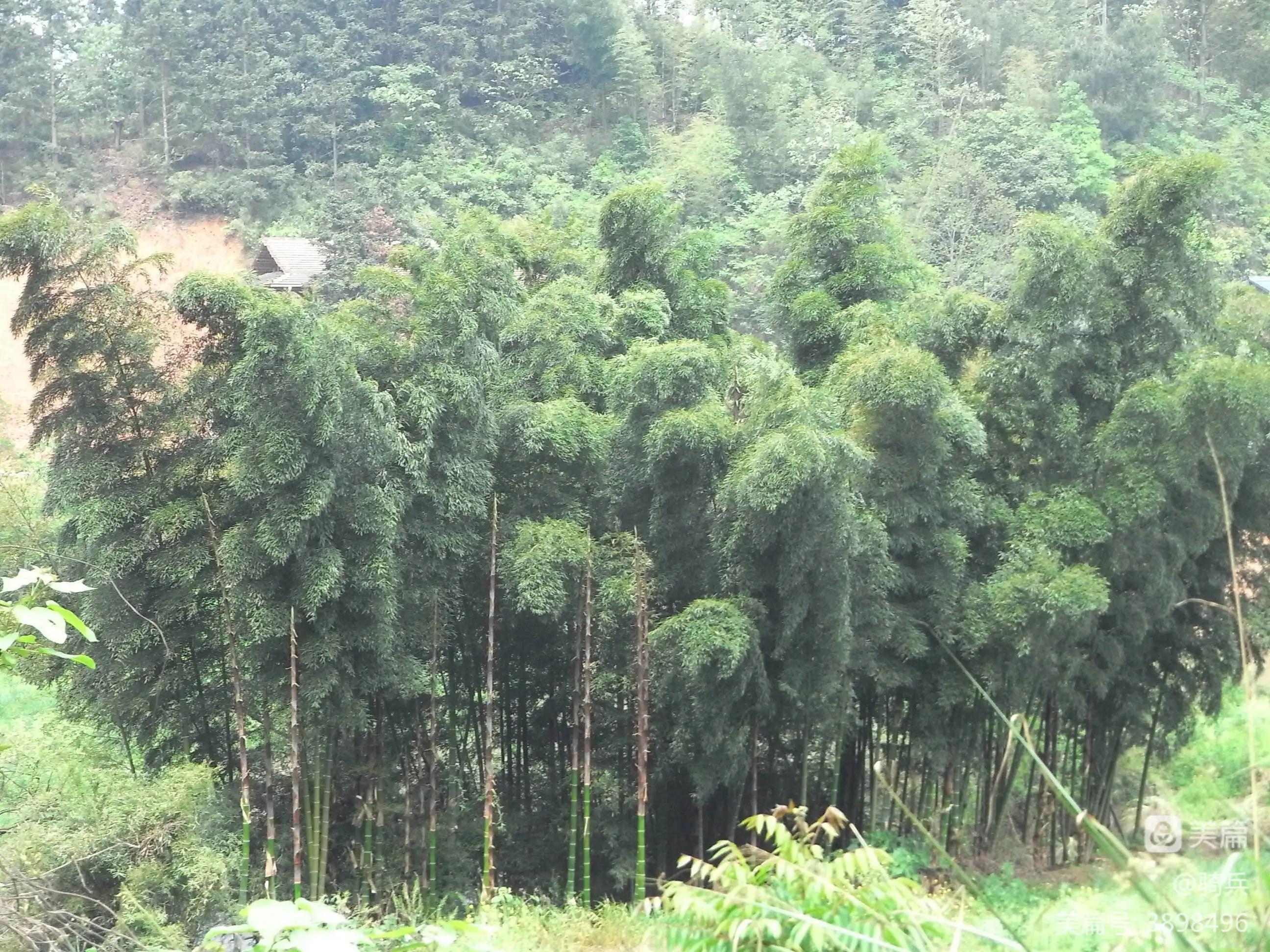 骑游三省之广西（17）龙胜——（湖南）靖州