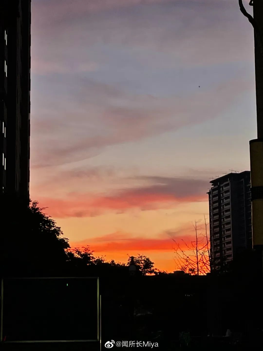 秋天就穿这5双鞋子高级又好看,秋天最值得买的20双鞋