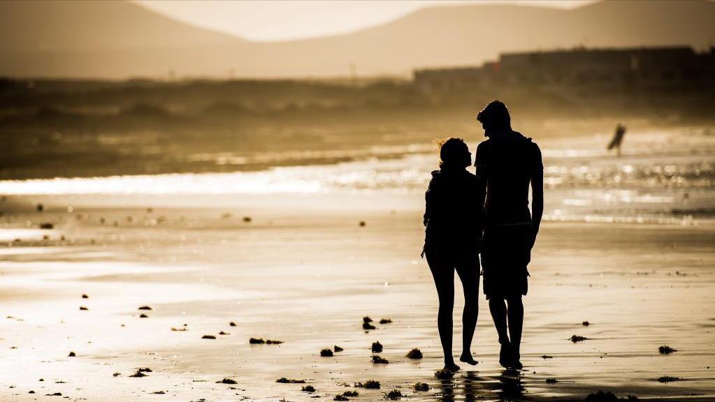 为什么动物都会定期发情，人类女性却要隐藏“发情期”？