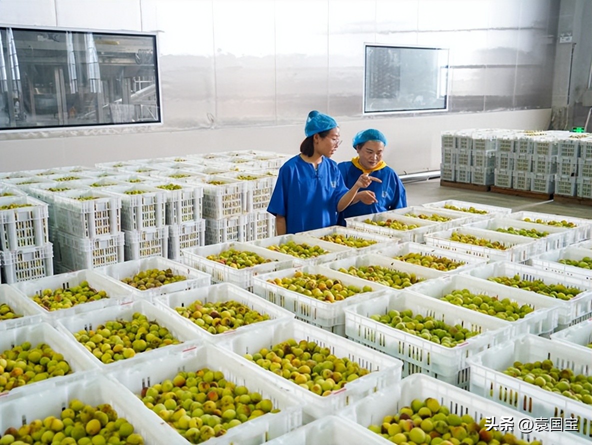 东方梅见酒,东方情人节的故事