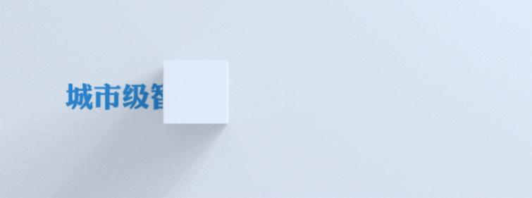 文成大峃镇新农贸市场,五化农贸市场