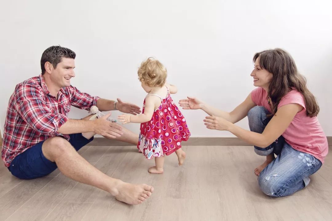 除醛净味活性炭哪些品牌好,活性炭负离子除味