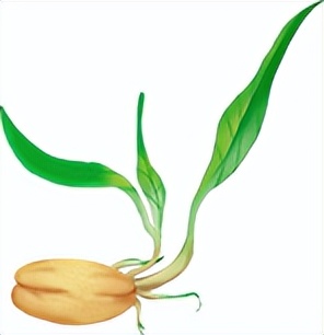 黑龙江北安：备耕一线*党**旗红*党**建引领助春耕