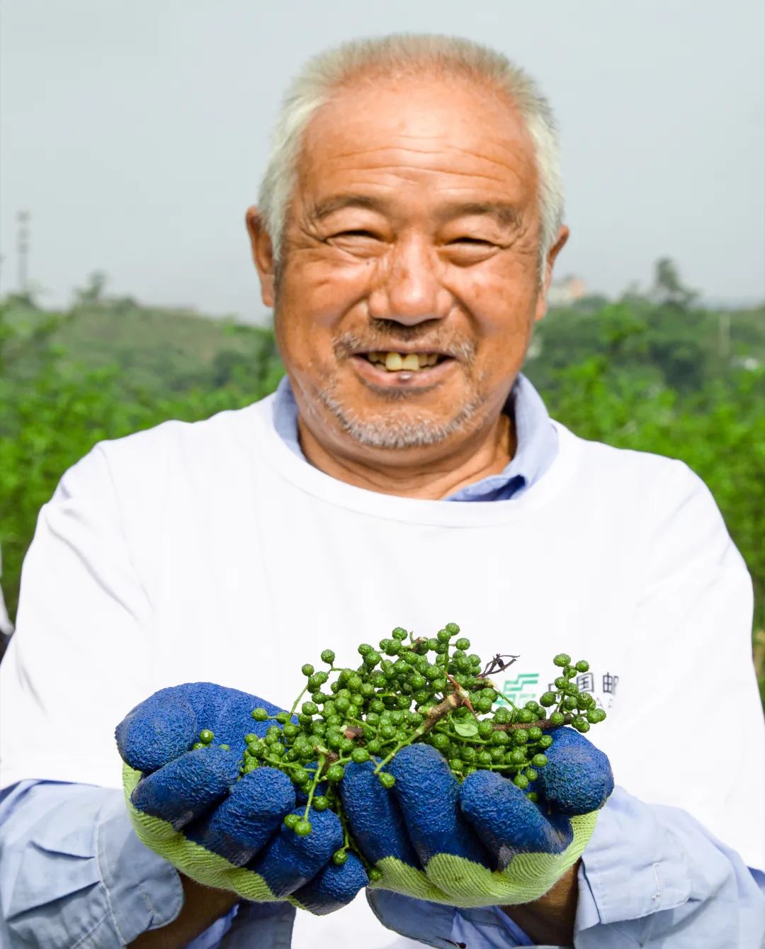 在绿色的邮政挖呀挖呀挖→