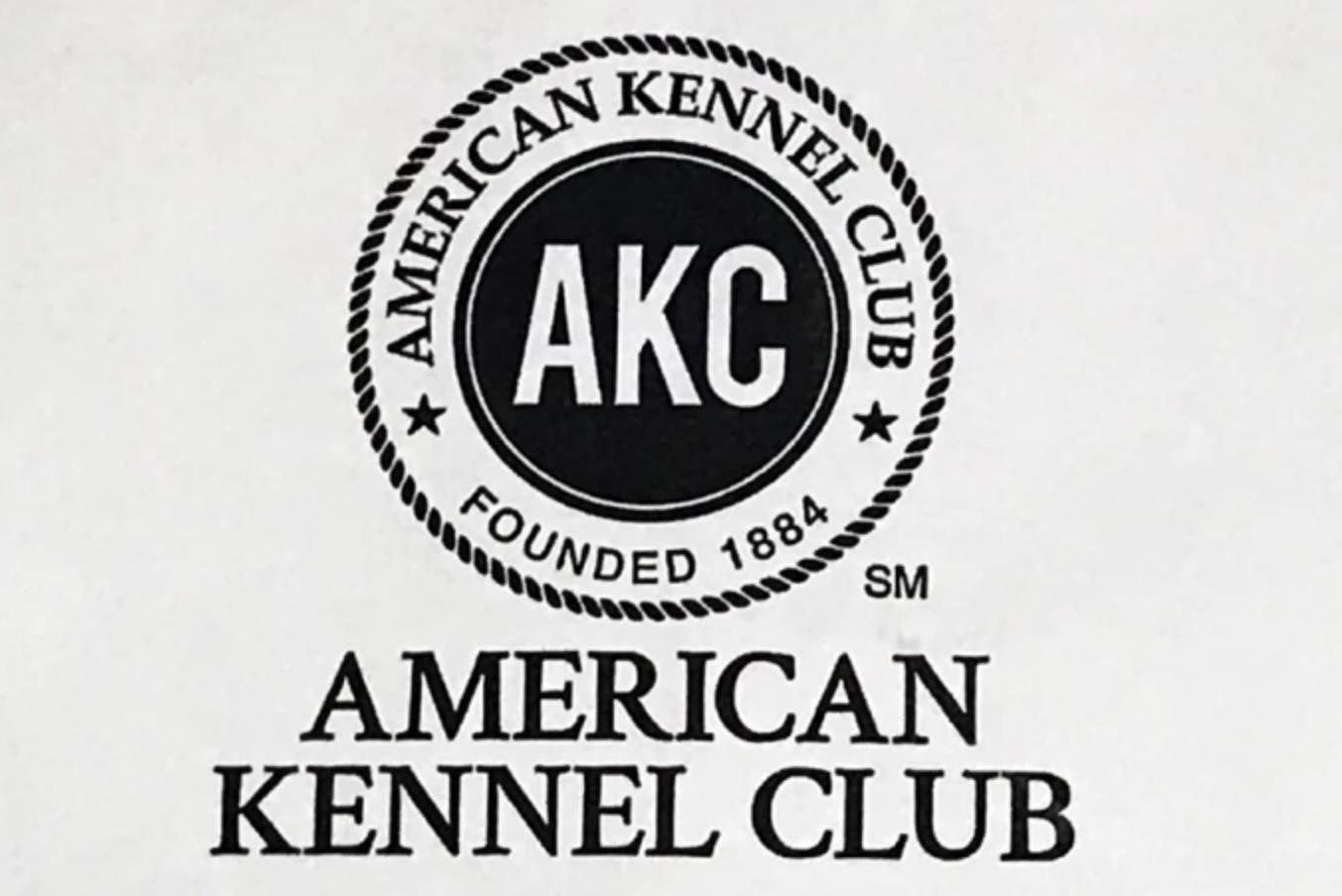 人类禁止*亲近**繁殖，为何要让狗“回交”？甚至品种越纯越好？