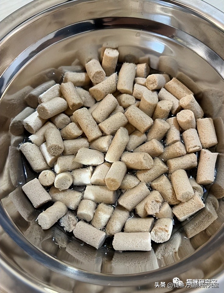 布兰德冻干昆虫鸡,布兰德冻干昆虫蛋白