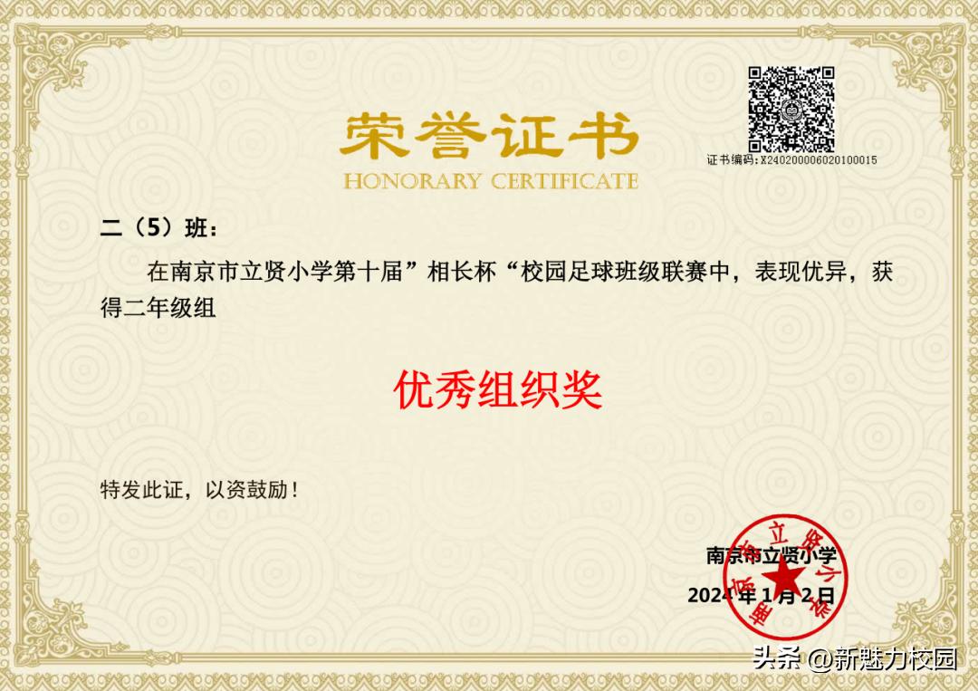 南京市晓庄小学校园足球联赛,区长杯小学校园足球联赛