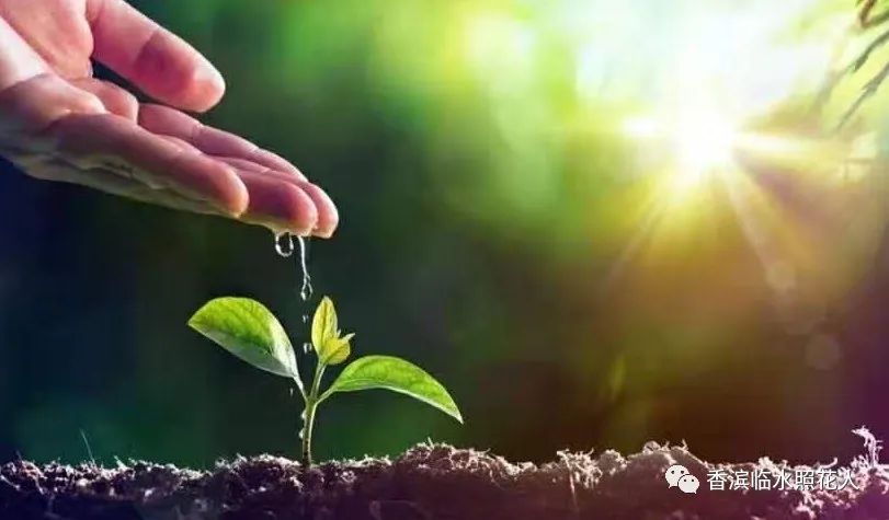 第十届创新作文大赛获奖作文,第十五届创新作文大赛作文题目