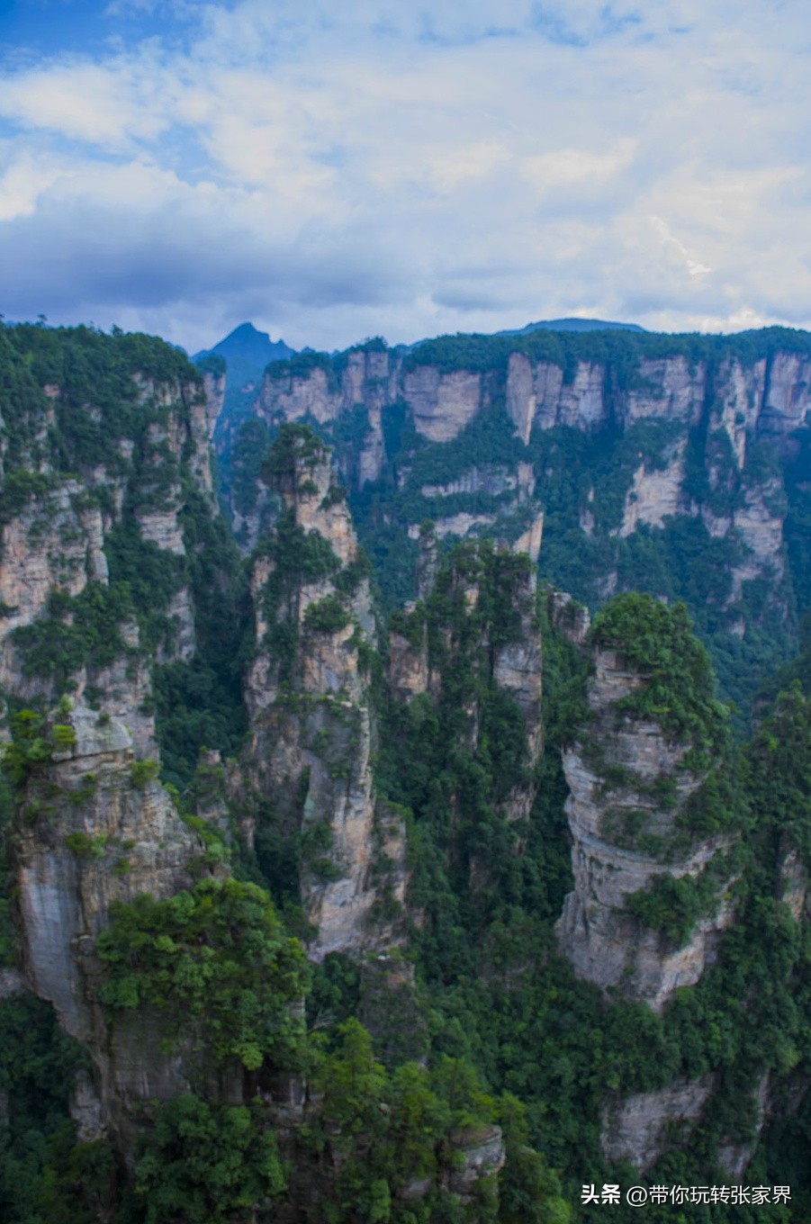 自驾张家界5天4晚旅游攻略,去张家界五日游攻略