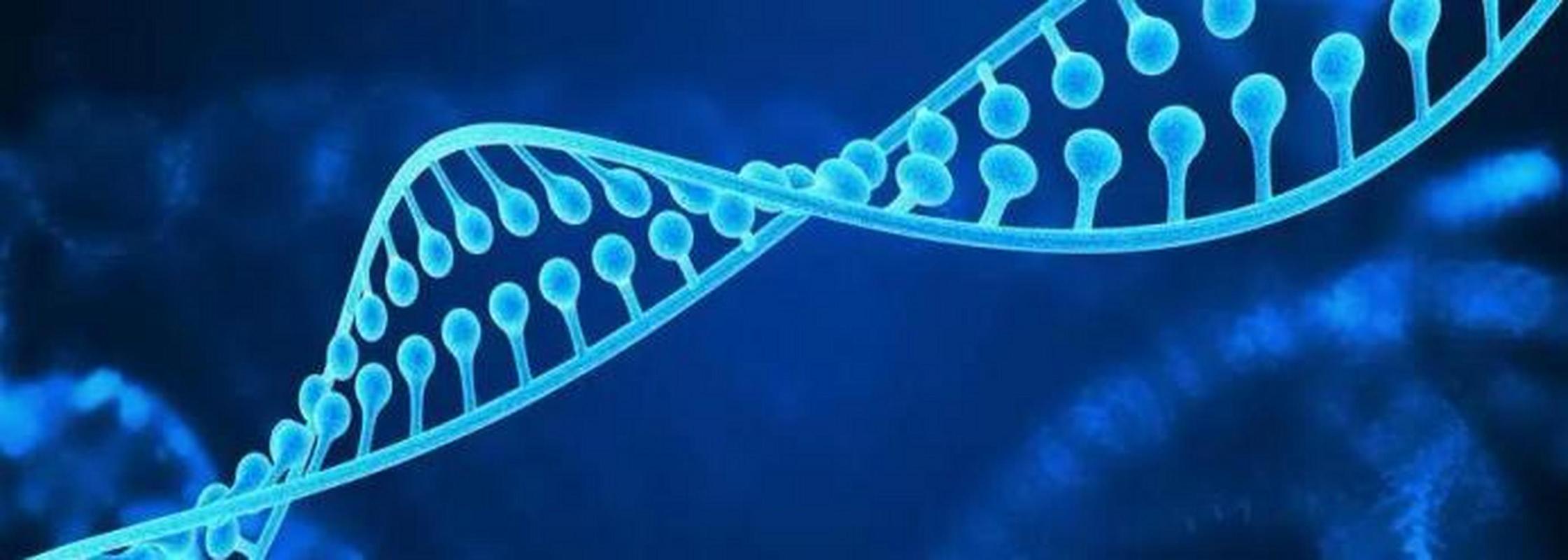 茉莉酸分子机制,茉莉酸受体抑制剂及其作用机理