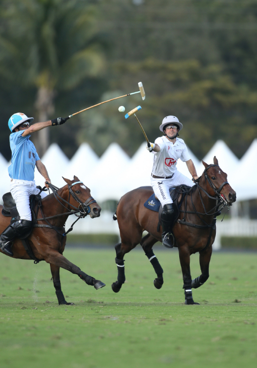 「马闻天下」荷兰马术大师赛回归；FEI支持乌克兰以及其马匹事宜