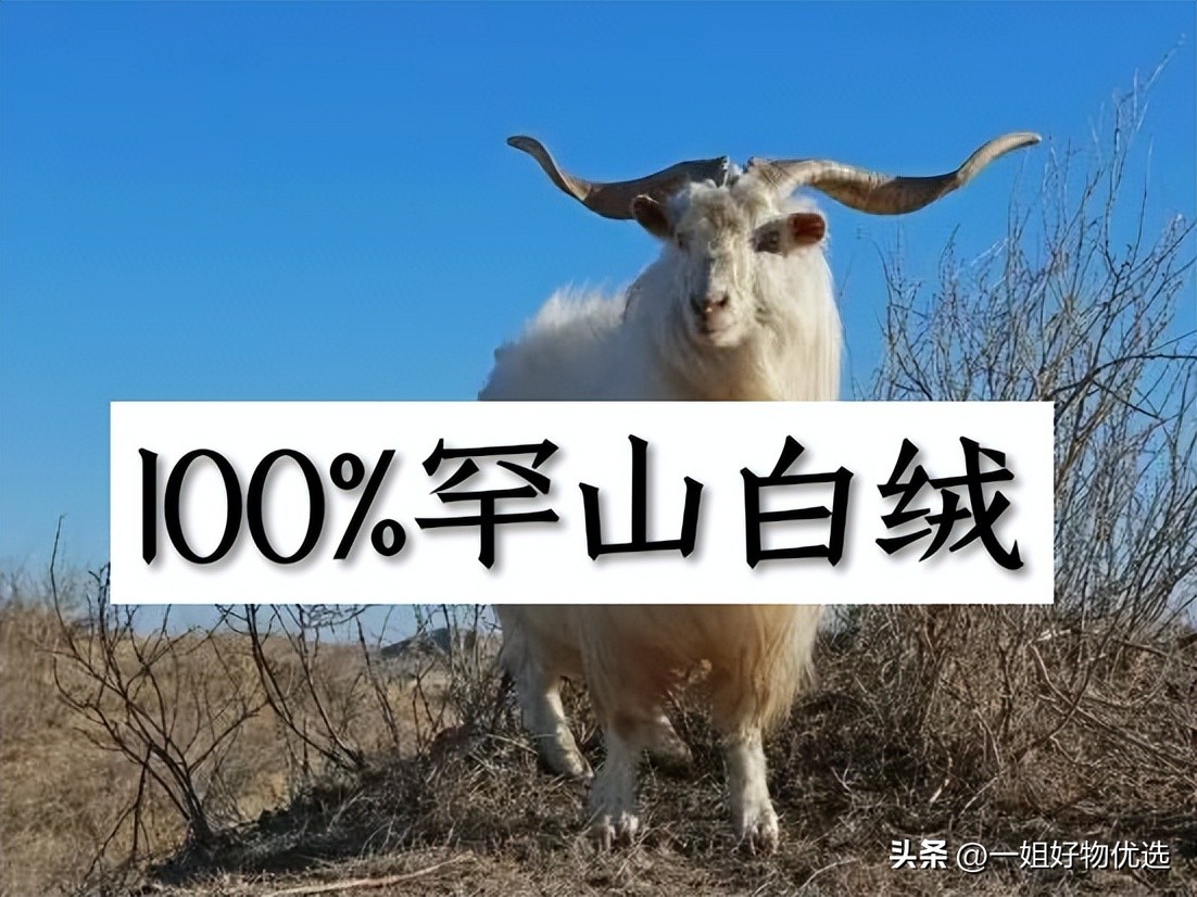 临平围巾批发市场在哪里,丽水仿羊绒围巾批发