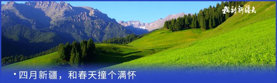 入疆旅游攻略,环疆旅游攻略大全