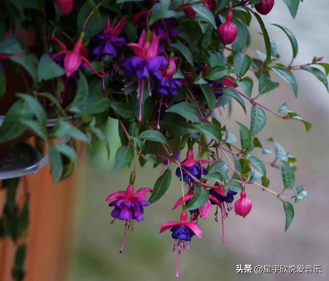 分享惊艳的图片,分享美景的图片卡点