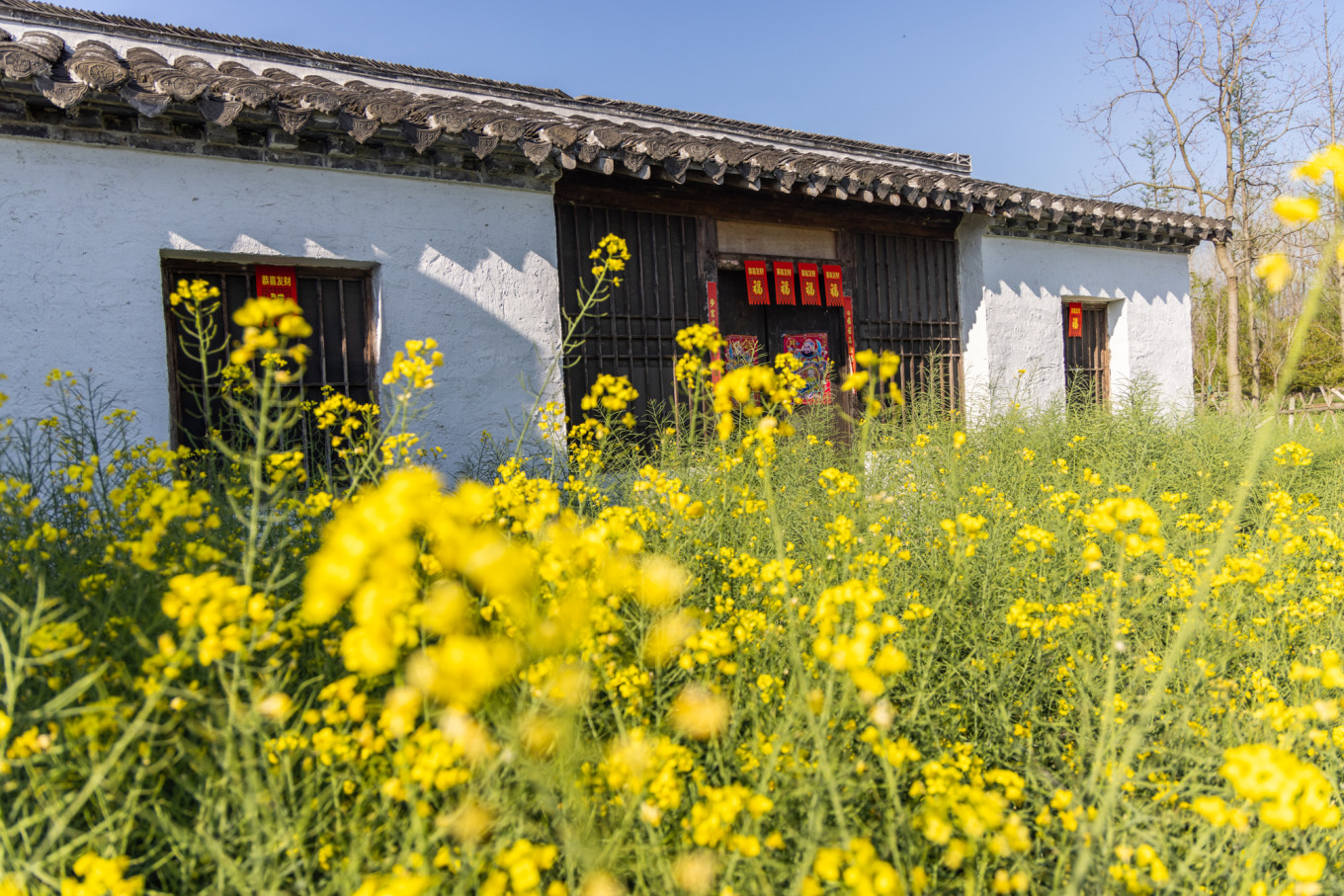 春日下江南杭州,春日下江南古镇