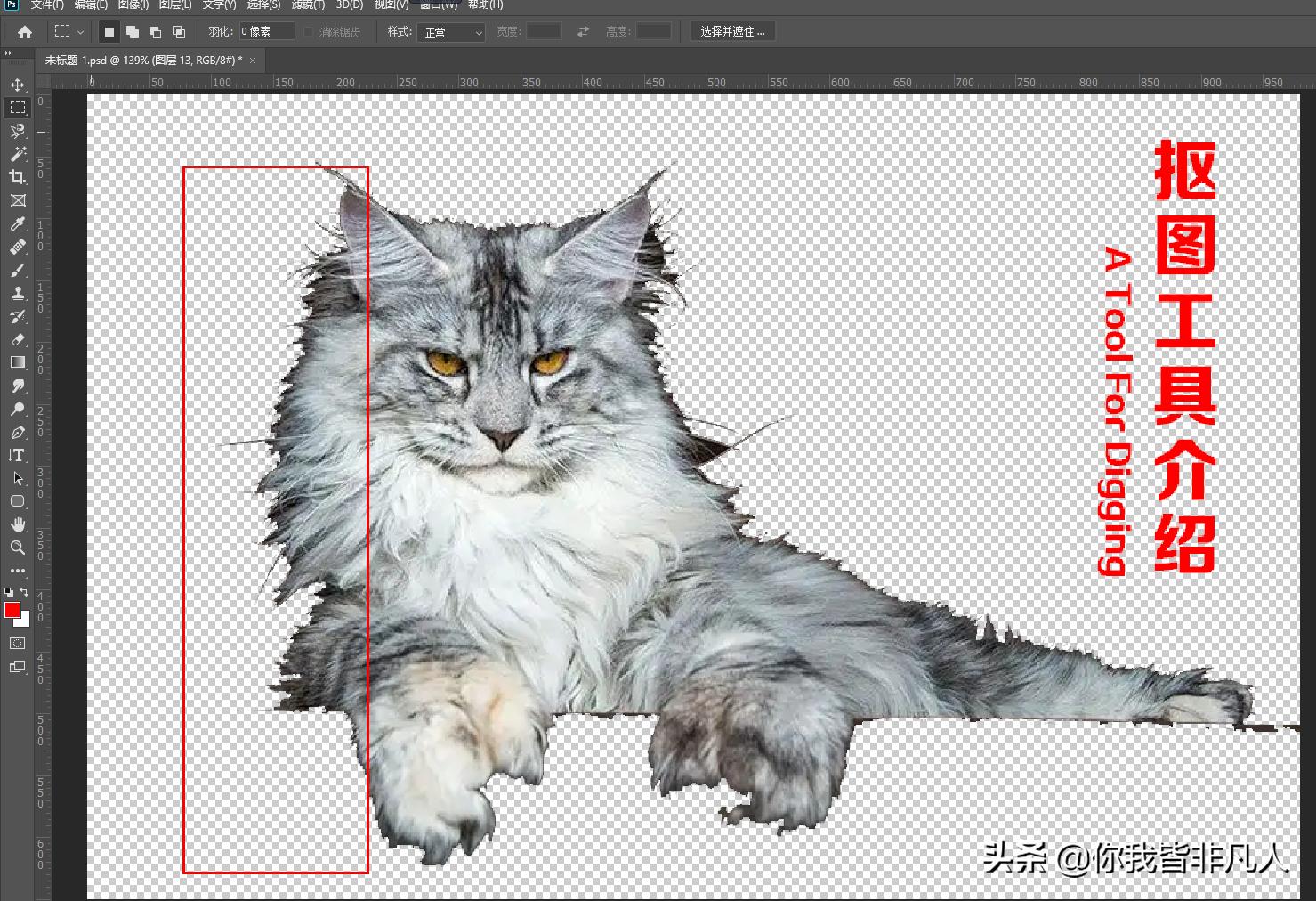 photoshop抠图步骤与方法,photoshop怎么抠图详细教程