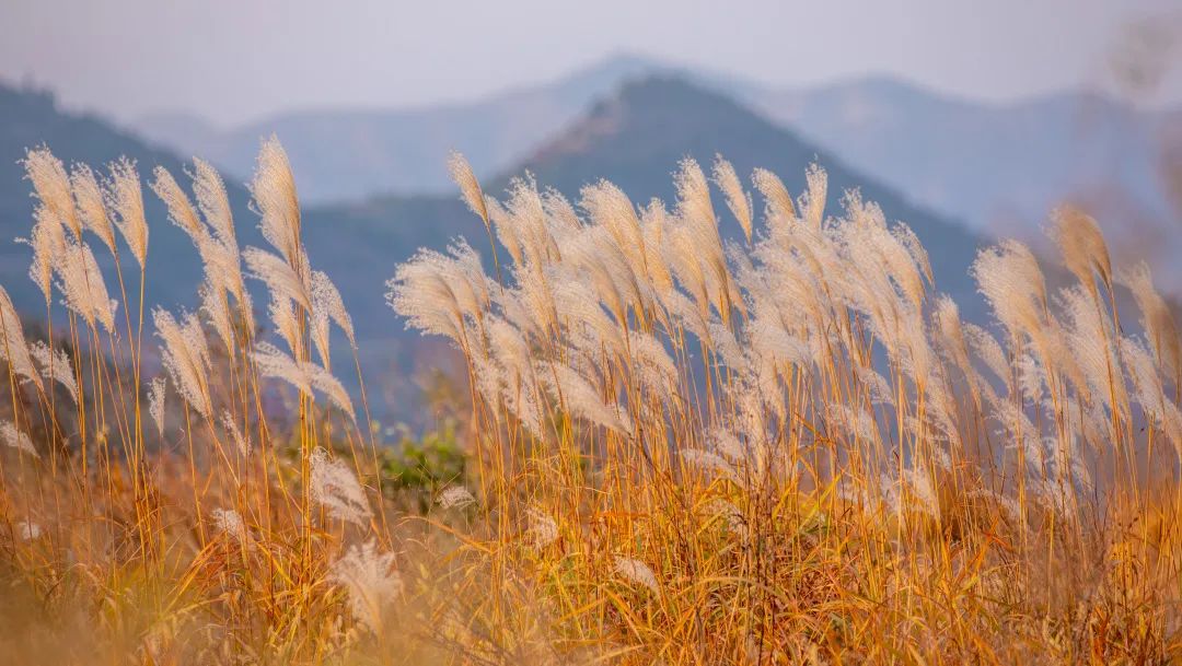 济南小众但是值得一去的地方,济南小众打卡圣地冬季
