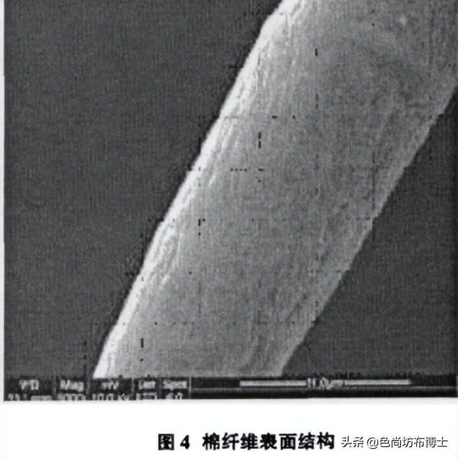 仿丝棉和聚酯纤维怎么判断,超仿棉纤维参数