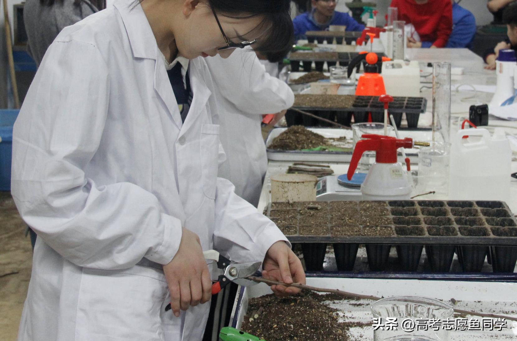 专科女生：推荐报考这5个专业，相对比较靠谱，找工作也容易