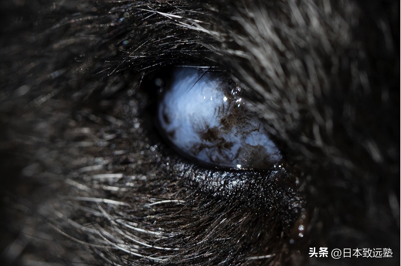 artfestival有什么活动一般在几月,artfestival活动