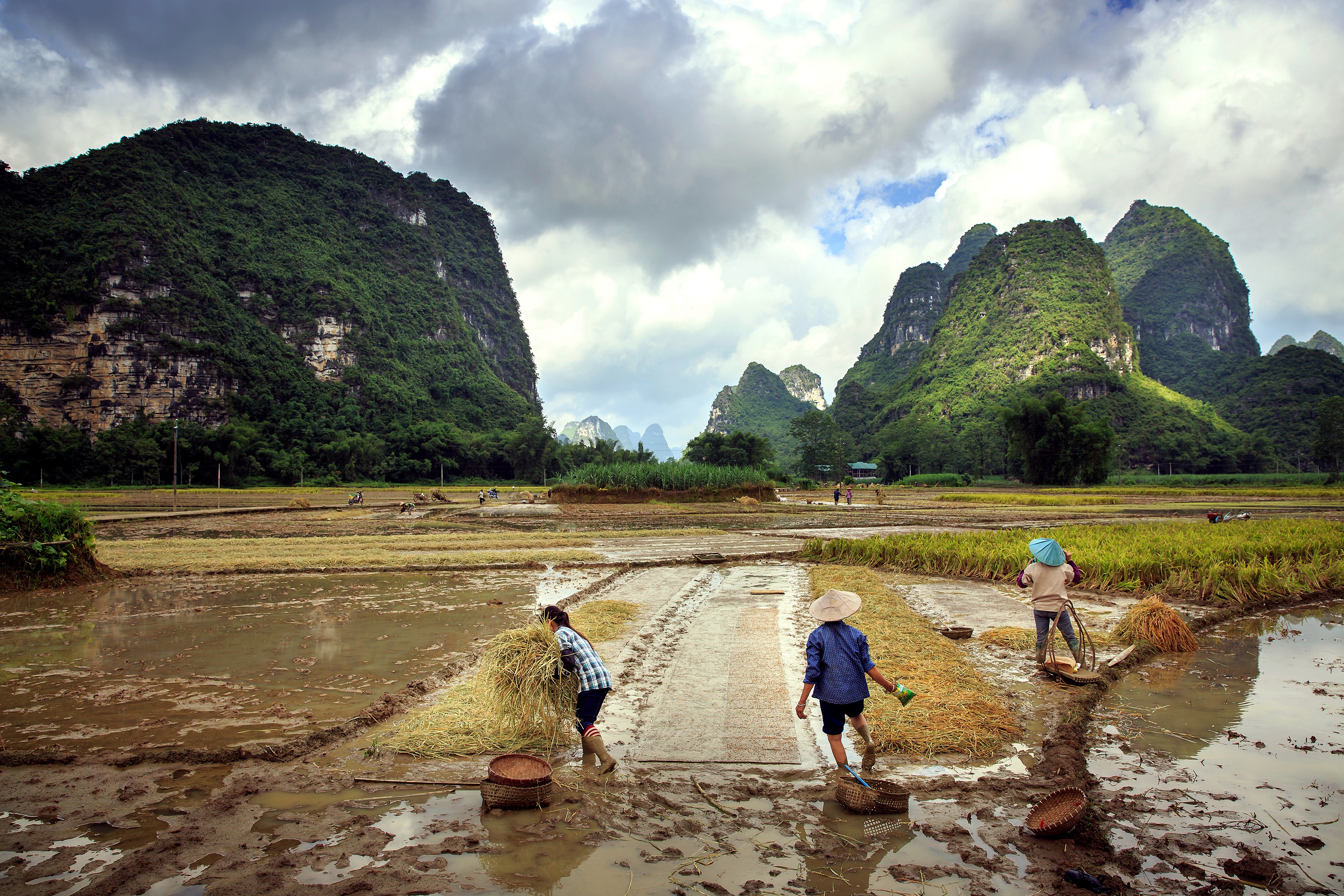 一个病人的自述,一个人看病的真实经历