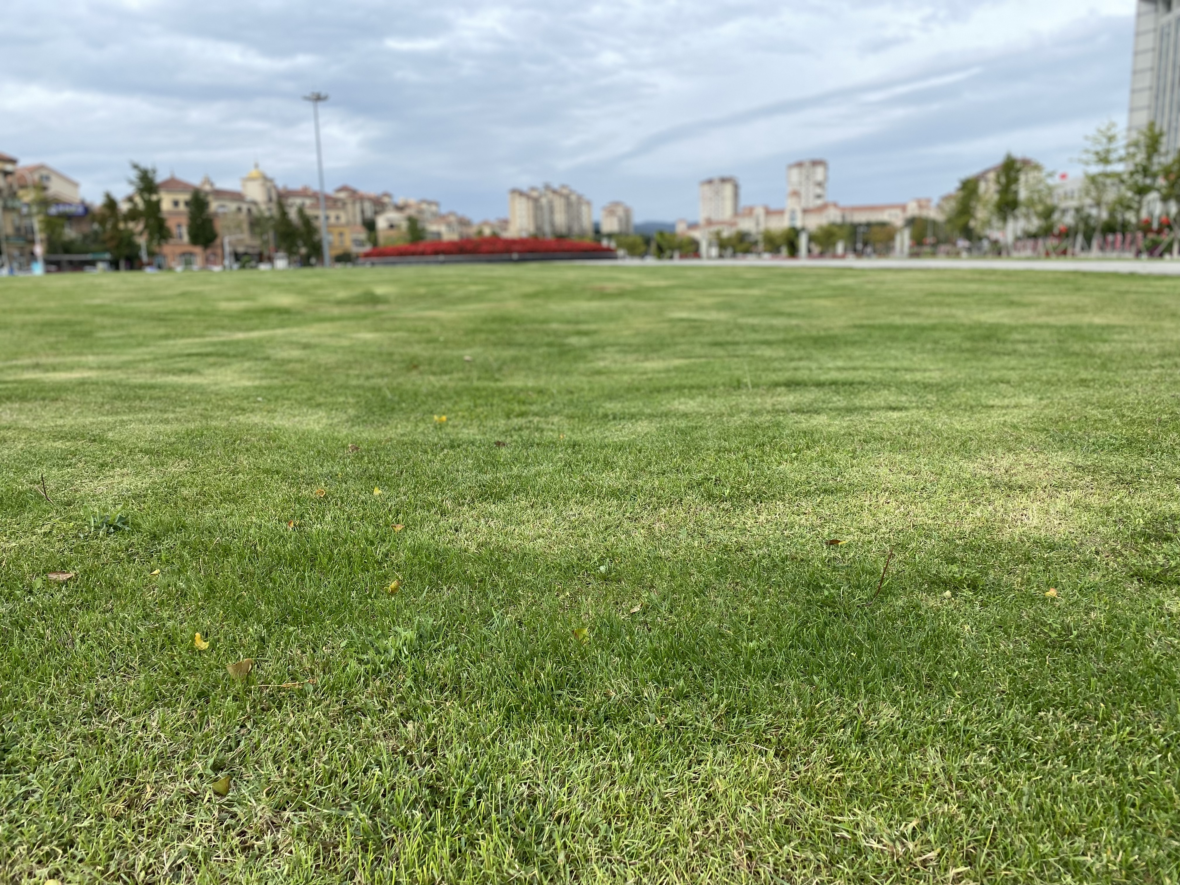大连沈阳长春哈尔滨比较,沈阳长春哈尔滨大连