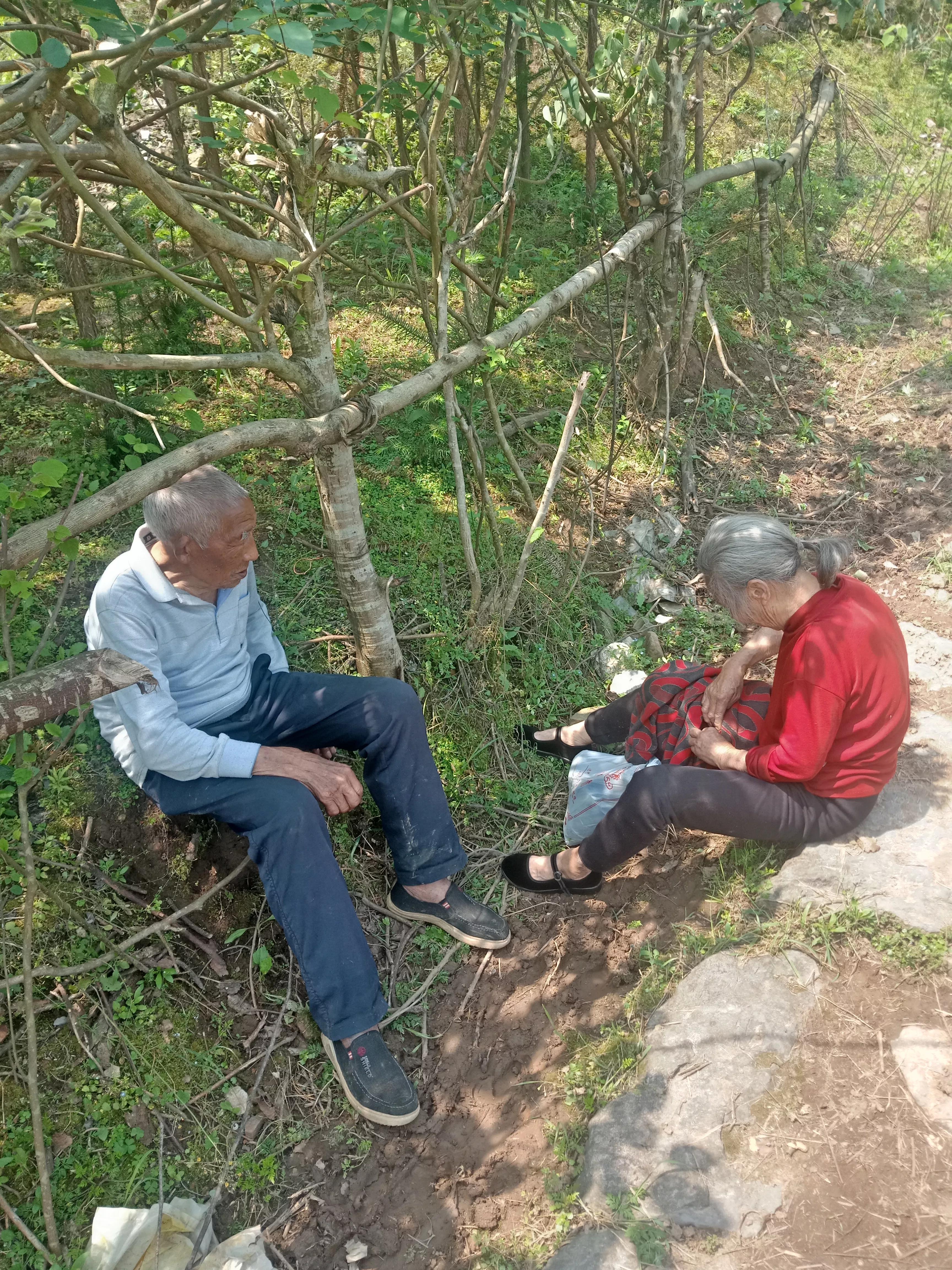 老伴儿陪伴是晚年最大的幸福,陪伴和老伴是老年人的幸福