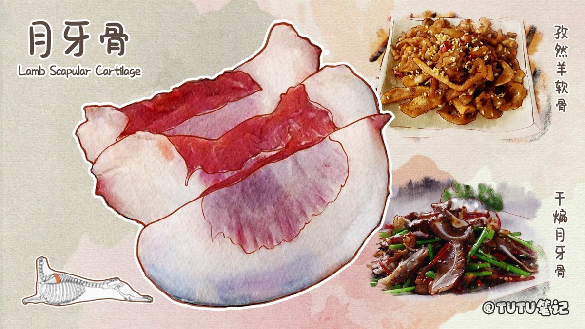 常见羊肉吃法和分类,史上最全羊肉各部位吃法