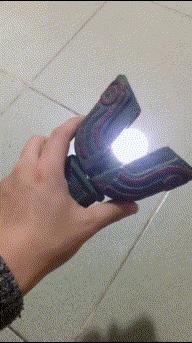 生物老师是女的,生物老师是个女的