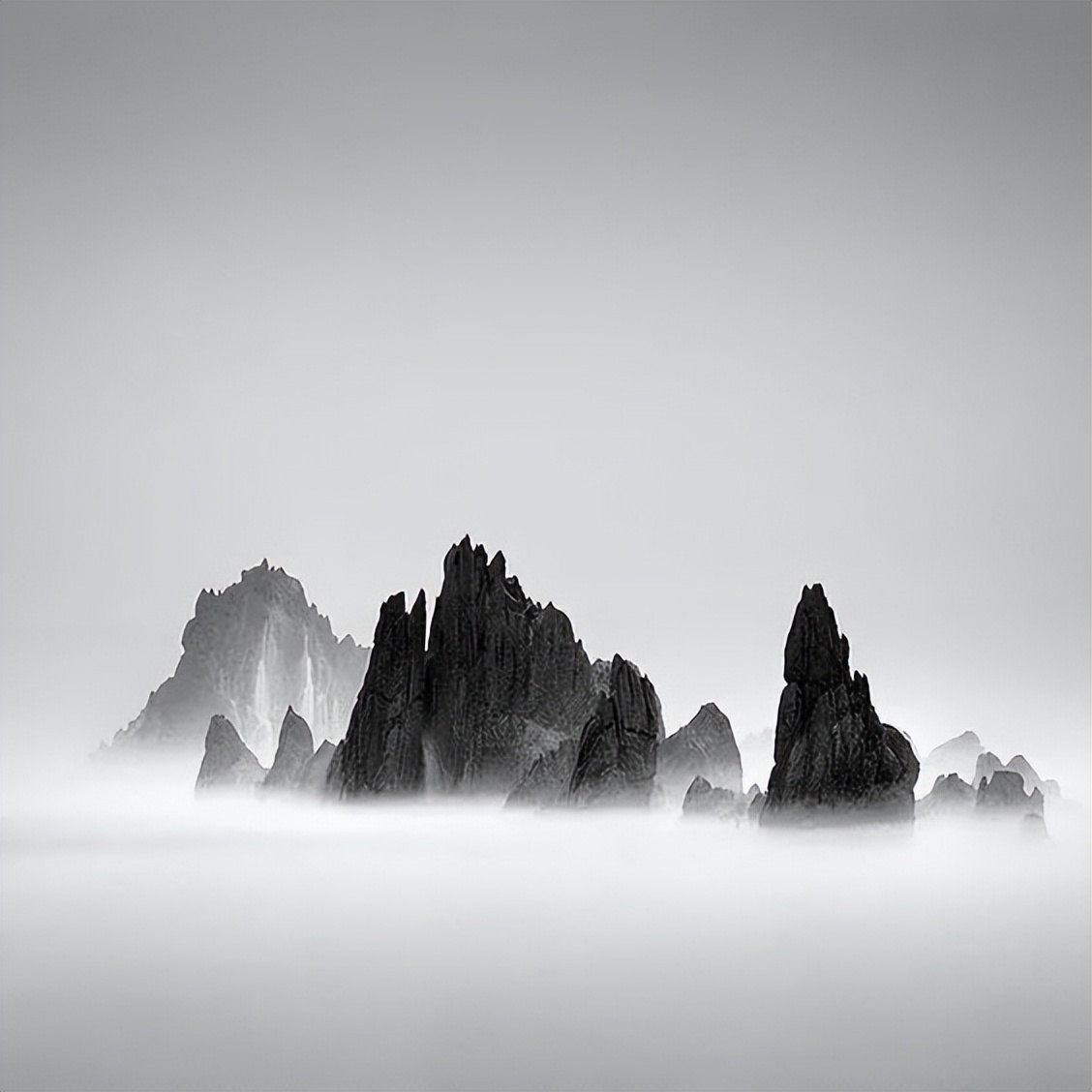 日本枯山水景观,日本枯山水中的树是什么树