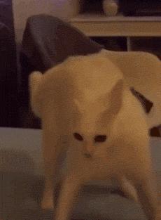 信息发错群怎么缓解尴尬,信息发错群了怎么补救