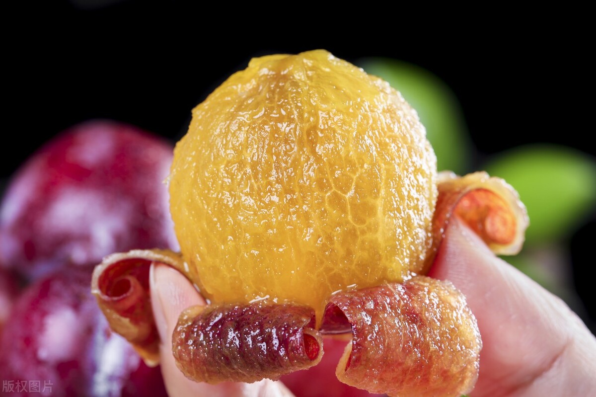 都是西梅,*疆新**和加州的价格差这么多?到底有什么区别呢?